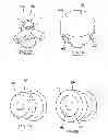 Fig. 02 - Device and method for reducing a transfer of microorganisms by manual contact