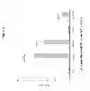 Fig. 02 - Pharmaceutical composition of oxidised avidin suitable for inhalation
