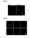Fig. 06 - Optical imaging probes