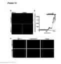 Fig. 09 - Optical imaging probes