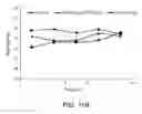 Fig. 16 - Conjugates of a polymer, a bisphosphonate and an anti-angiogenesis agent and uses thereof in the treatment and monitoring of bone related diseases