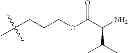 Fig. 166 - Protein-polymer-drug conjugates