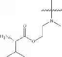 Fig. 197 - Protein-polymer-drug conjugates