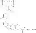 Fig. 367 - Protein-polymer-drug conjugates
