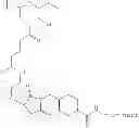 Fig. 601 - Protein-polymer-drug conjugates
