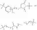 Fig. 726 - Protein-polymer-drug conjugates