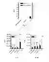 Fig. 02 - RNA Vaccines
