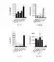 Fig. 04 - RNA Vaccines