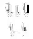 Fig. 07 - RNA Vaccines