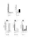 Fig. 09 - RNA Vaccines