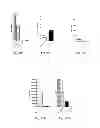 Fig. 13 - RNA Vaccines