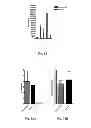 Fig. 16 - RNA Vaccines