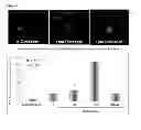 Fig. 03 - COMPOSITIONS AND METHODS FOR AUDITORY THERAPY