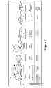 Fig. 02 - Use of Stem Cells to Reduce Leukocyte Extravasation