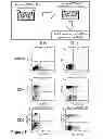 Fig. 09 - Use of Stem Cells to Reduce Leukocyte Extravasation
