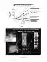 Fig. 08 - MESENCHYMAL STEM CELL COMPOSITIONS FOR THE TREATMENT OF MICROBIAL INFECTIONS