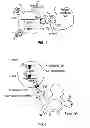 Fig. 02 - Multi-chain chimeric antigen receptor and uses thereof
