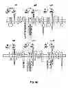 Fig. 05 - Multi-chain chimeric antigen receptor and uses thereof