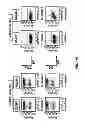 Fig. 17 - Multi-chain chimeric antigen receptor and uses thereof
