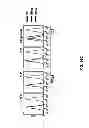 Fig. 18 - Multi-chain chimeric antigen receptor and uses thereof