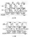 Fig. 19 - Multi-chain chimeric antigen receptor and uses thereof