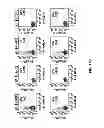 Fig. 23 - Multi-chain chimeric antigen receptor and uses thereof
