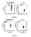 Fig. 27 - Multi-chain chimeric antigen receptor and uses thereof