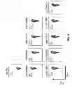 Fig. 29 - Multi-chain chimeric antigen receptor and uses thereof