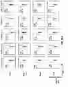 Fig. 32 - Multi-chain chimeric antigen receptor and uses thereof