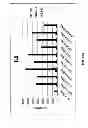 Fig. 33 - Multi-chain chimeric antigen receptor and uses thereof