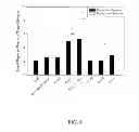 Fig. 08 - USE OF PROBIOTIC BACTERIAL STRAINS AS A PROPHYLACTIC TOOL AGAINST UTERINE INFECTIONS IN PREGNANT FEMALE RUMINANTS