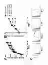 Fig. 02 - Method to induce and expand therapeutic alloantigen-specific human regulatory T cells in large-scale