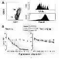 Fig. 04 - Method to induce and expand therapeutic alloantigen-specific human regulatory T cells in large-scale