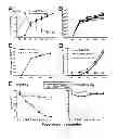 Fig. 07 - Method to induce and expand therapeutic alloantigen-specific human regulatory T cells in large-scale
