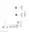 Fig. 14 - N-terminal derivatisation of proteins with polysaccharides