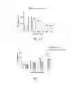 Fig. 06 - ANTIDOTES FOR FACTOR XA INHIBITORS AND METHODS OF USING THE SAME IN COMBINATION WITH BLOOD COAGULATING AGENTS