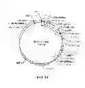 Fig. 08 - ANTIDOTES FOR FACTOR XA INHIBITORS AND METHODS OF USING THE SAME IN COMBINATION WITH BLOOD COAGULATING AGENTS