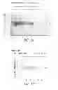 Fig. 02 - COMPOSITIONS AND METHODS FOR TREATING DIABETES