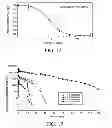 Fig. 08 - ANTIBODIES TO OPGL