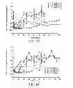 Fig. 09 - ANTIBODIES TO OPGL