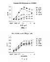 Fig. 02 - Vaccines based on targeting antigen to DCIR expressed on antigen-presenting cells