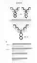 Fig. 02 - Dual Variable Domain Immunoglobulins and Uses Thereof
