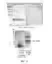 Fig. 04 - SOGA polynucleotides and polypeptides and uses thereof