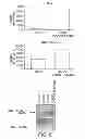 Fig. 07 - SOGA polynucleotides and polypeptides and uses thereof