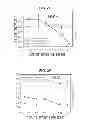 Fig. 07 - PHOSPHORYLATION OF HISTONES AND USES THEREOF