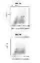 Fig. 17 - PHOSPHORYLATION OF HISTONES AND USES THEREOF