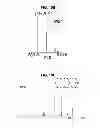 Fig. 23 - PHOSPHORYLATION OF HISTONES AND USES THEREOF
