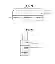 Fig. 34 - PHOSPHORYLATION OF HISTONES AND USES THEREOF