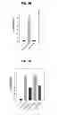 Fig. 40 - PHOSPHORYLATION OF HISTONES AND USES THEREOF