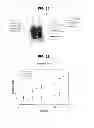 Fig. 41 - PHOSPHORYLATION OF HISTONES AND USES THEREOF